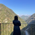 ツイートに含まれる画像