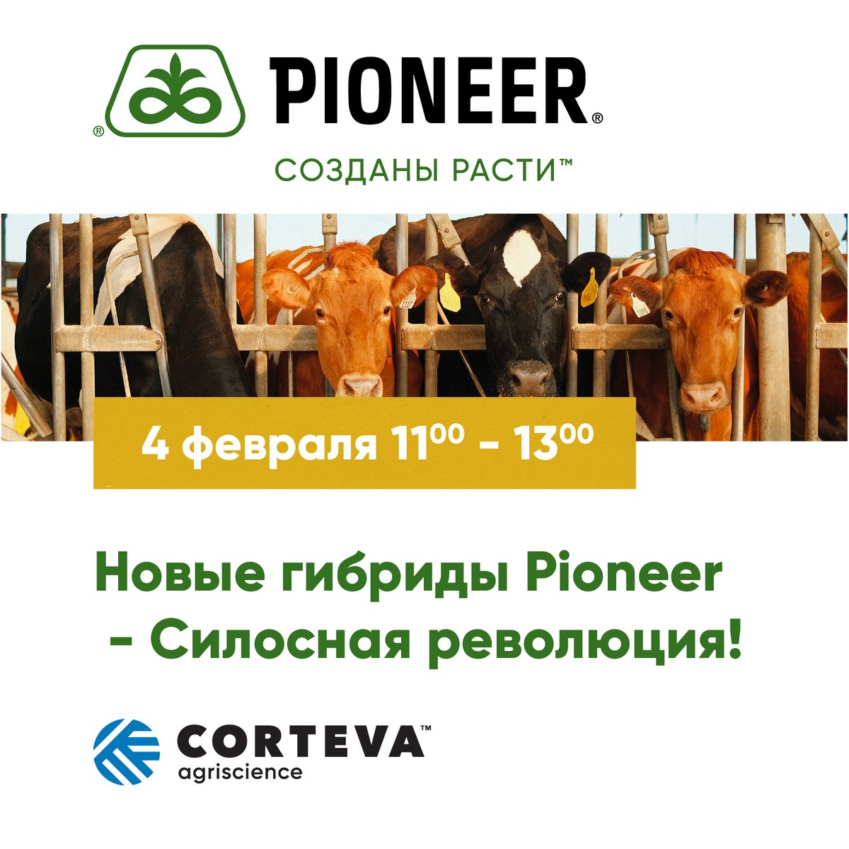 ВЕБИНАР: Новые гибриды Pioneer - Силосная революция!
4 февраля с 11:00 до 13:00 по Московскому времени.
Регистрация бесплатная и доступна по ссылке на сайте - goo.su/bh4K
