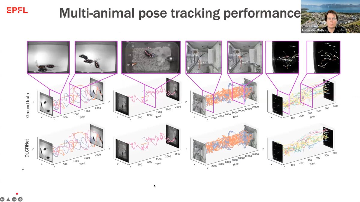 CIS_EPFL's tweet image. We had the pleasure to have Prof. #AlexanderMathis, head of the Prof. Alexander Mathis Group with us yesterday who talked about &quot;Multi-individual pose estimation, identification and tracking” and @DeepLabCut an open-source pose estimation toolbox!

Replay :lnkd.in/erjpnGst