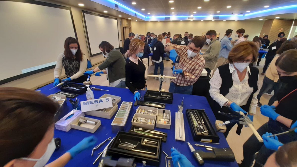 Elena Miguel Poza tweet media