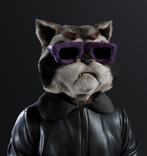 #NewNFTProfilePic NFT by KittyCryptoGangTeam