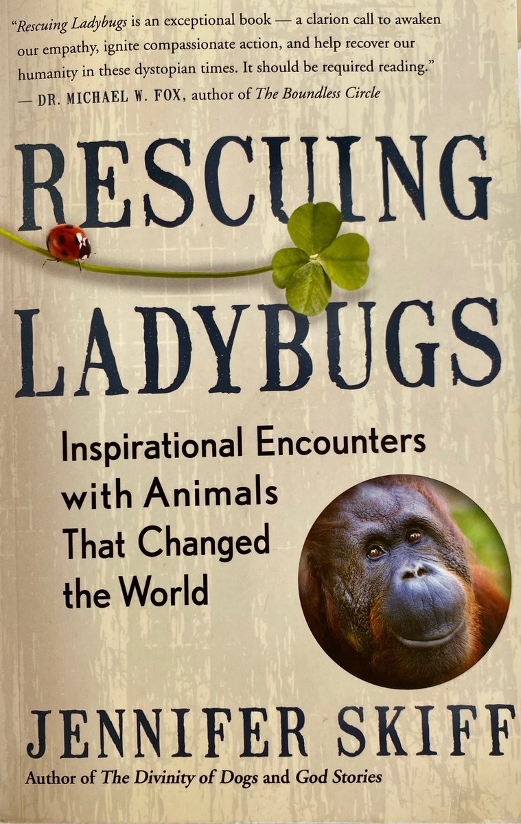 A few thoughts on Rescuing Ladybugs # purposeful pedagogies2022 @MandySutherDunn @mareewhiteley @jenniferskiff @HealyKj @louisemenagerie artsteachersconnect.com/blog/2022/2/1/…