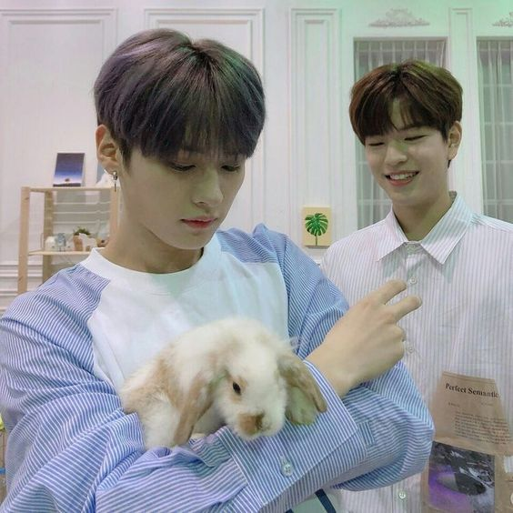 dailyseung2's tweet photo. seungmin with a bunny and seungmin with a bunny holding a bunny https://t.co/Jprf2NVdfL