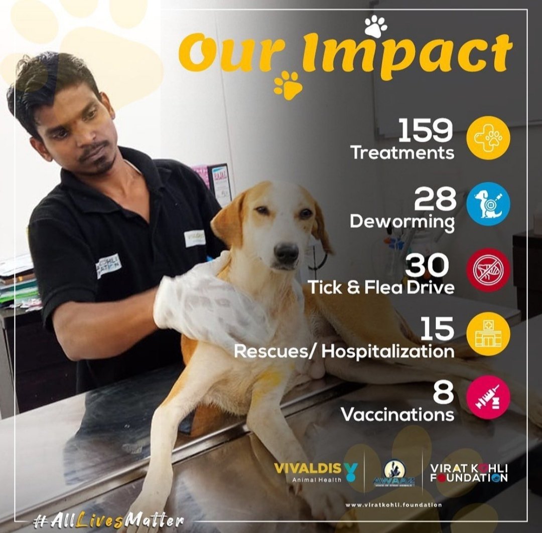 sevvafoundation's tweet photo. Our #pawprint for the month of January 

#VKF #VKF4Change #Vivaldis #BarkOutLoud #AnimalWelfare https://t.co/x07tUTHzZ7