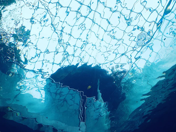水族館で面白い水の形撮るの好き 