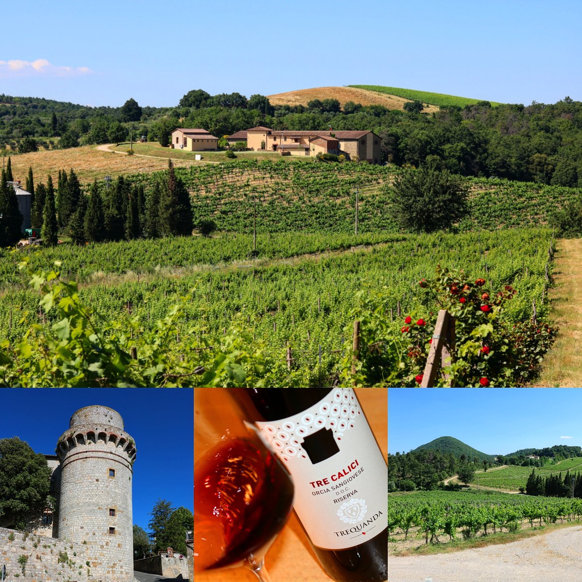 MerzSapori's tweet photo. Erfahrt mehr über die Kellerei Trequanda aus der Toskana unter https://t.co/uSUufnxvCg #weinausitalien #trequanda #wein #italien https://t.co/W7rkSHh3vu