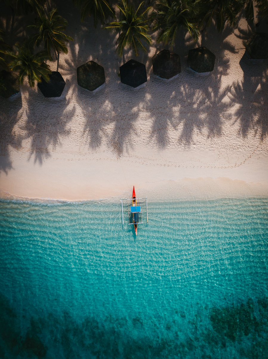 Jonny Melon tweet media