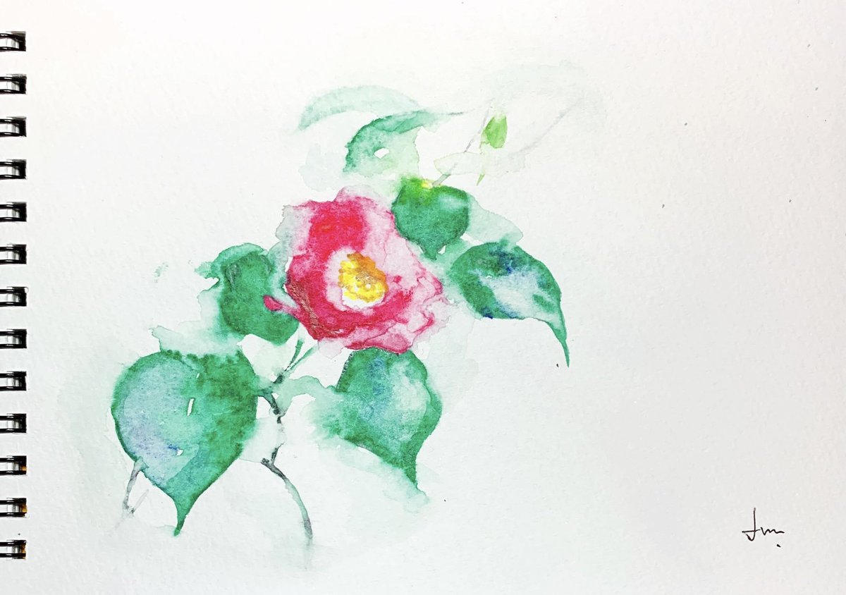 #彩具展
#Camelliajaponica

二度目に使う #吉祥顔彩 で #椿 を描きました