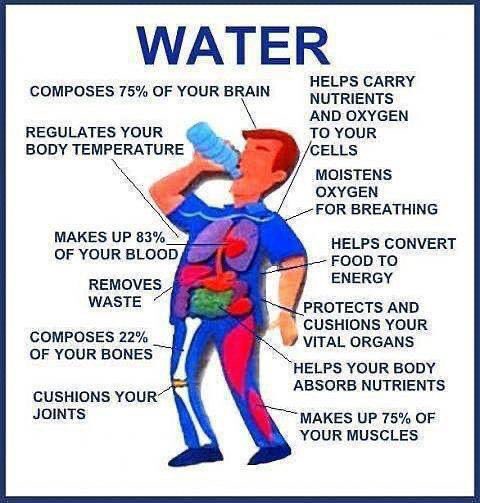 Many things can be FLUSHED from our Systems, many functions and conditions can be improved and become more optimum within our body’s - all by Drinking LOTS of WATER DAILY.

Let’s make it our goal in 20-22 to Stay gentle, but WATER-FLUSH with the Fierceness of a WATER-TIGER! https://t.co/FRw4LLikrp