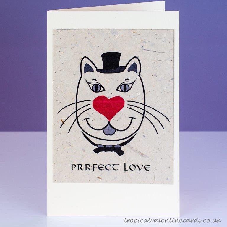 Teresinha Roberts tweet media