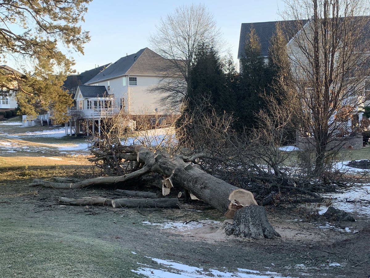 PCagronomy's tweet image. Course remains closed. Getting some tree work done