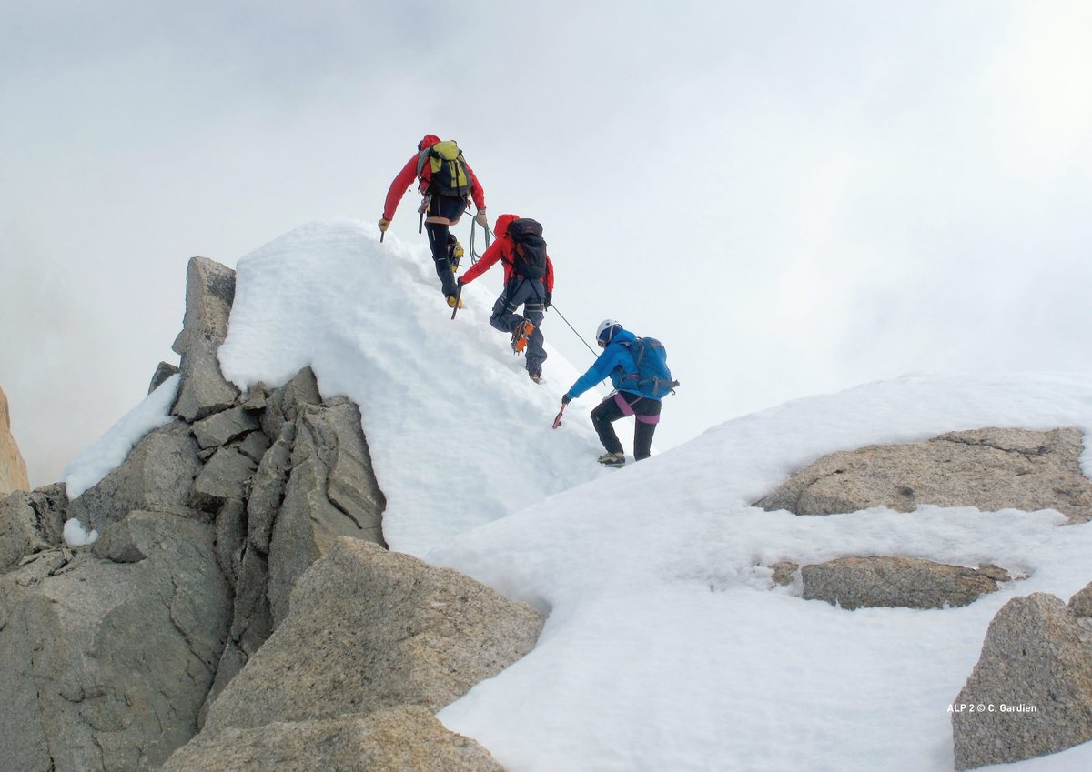 Chamonix Alpinisme UNESCO tweet media