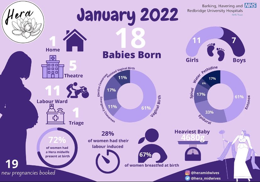 hera_midwives's tweet photo. • January Statistics •
We are so pleased to have been present for 72% of births despite a number of our team having to isolate with Covid at various times in January and with one baby not wanting to wait for the midwives before they arrived! 💜 https://t.co/edFZGuw7fk