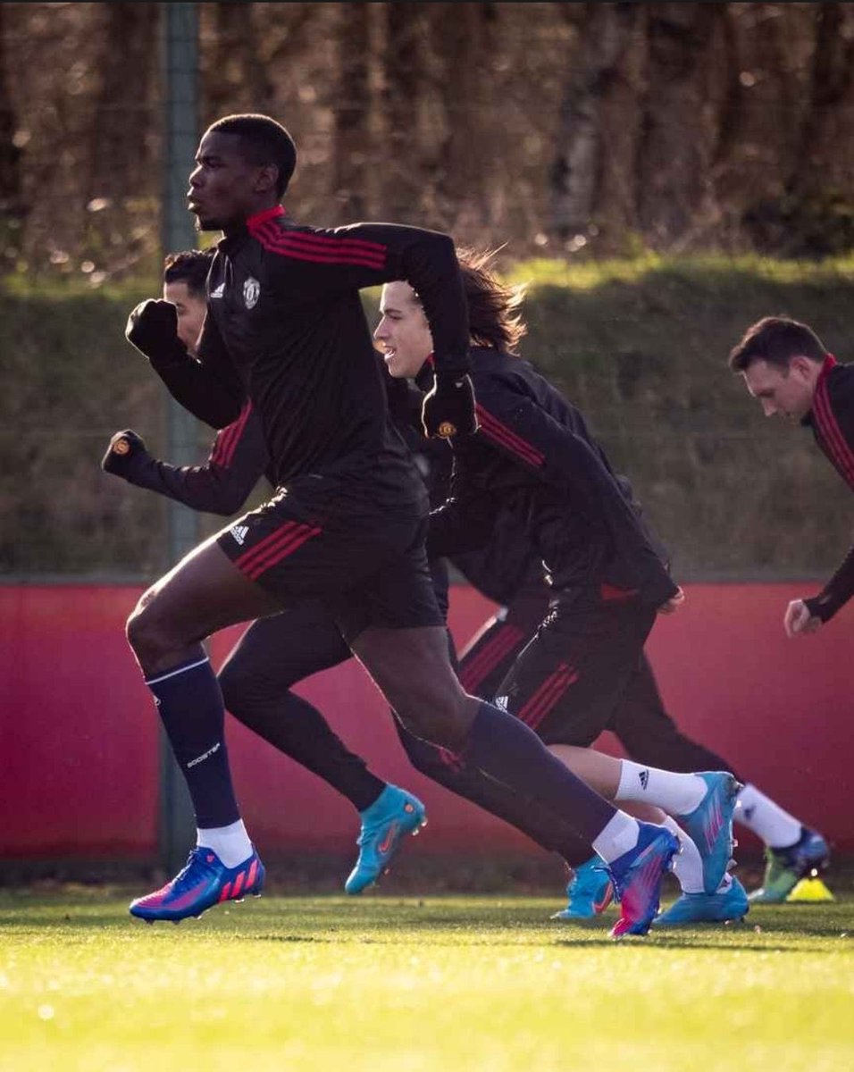 Aidan Walsh 🔰 tweet media