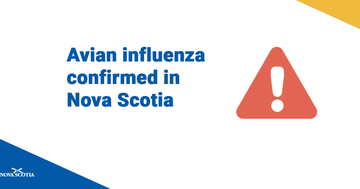 Avian Influenza Confirmed in Nova Scotia novascotia.ca/news/release/?…