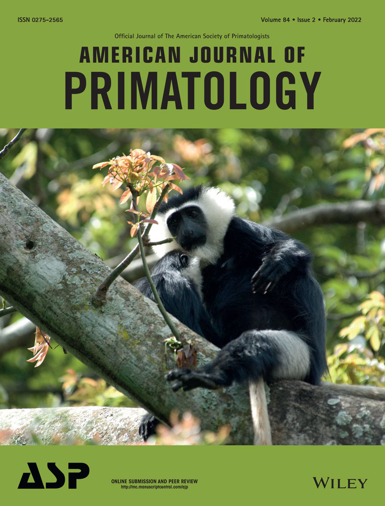 #colobus vellerosus Marla is showing off her #personality on the #AmJournalPrimatology cover by doing a one-leg (cheating) stiff-leg (aggressive) display while her infant is nursing
