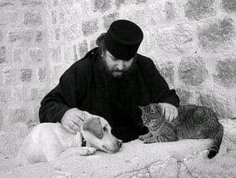 Исповедь в оптиной пустыни. Детям про монашество. Монах паисий афон скит. Спасение монахов. Инок киприан бурков герой советского.