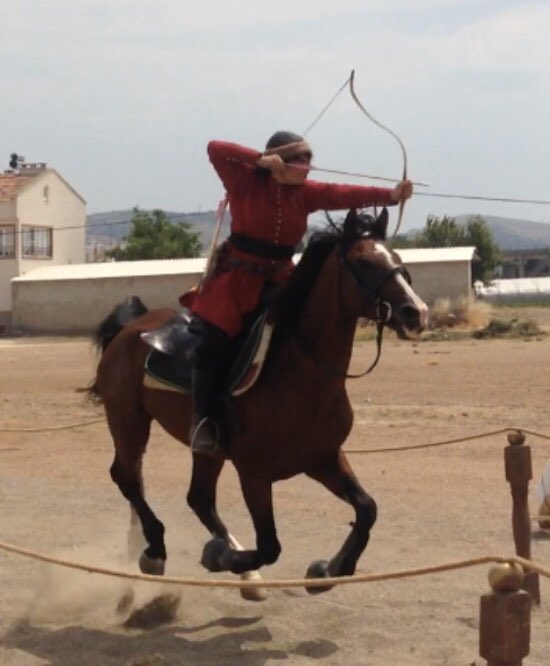 iamhurrem's tweet photo. @muratpak wat is the nft value of being a horse archer 😕 https://t.co/1VMxd1jEaM