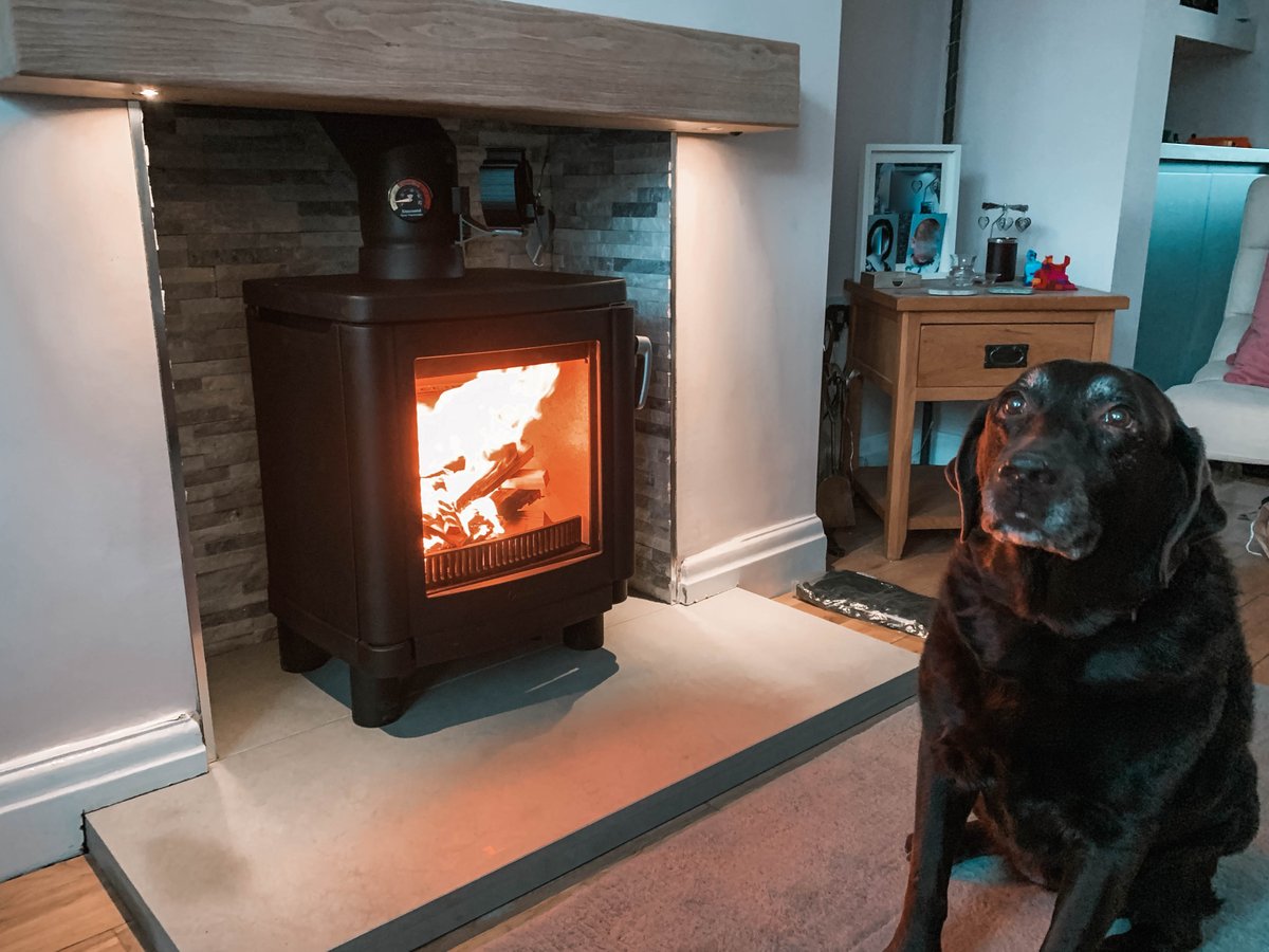 Another Happy Customer 🐶😂