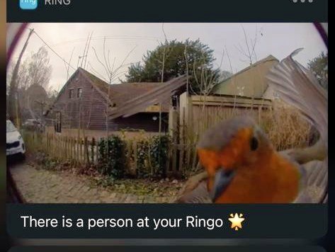 Best start and laugh to my morning. On the train back to Cornwall and we get an alert that there is someone at the door.... #laughter #birds #goodmorning 🐦🍃💕