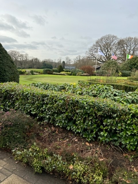 Jarvis Woodhouse tweet media