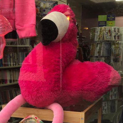 AgeUKLindsey's tweet image. Spring is in the air at our Brigg shop this week 🦩 😍
-
#spring #springwindowdisplay #charityshop #charityshopping #charityshoplife #charityshopfind #flamingo #pinkpinkpink