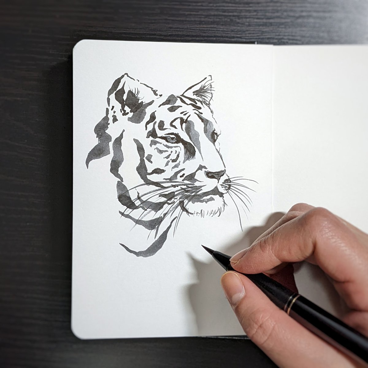 Chúc Mừng Năm Mới / Happy Lunar New Year! 🐯

It's the Year of the (water) Tiger, and I'm looking forward to celebrating it properly for the first time in two years, due to the pandemic. 😬✨

Have a good one~ 🎊🧧🎇

#Tết #LNY #CNY #YearOfTheTiger