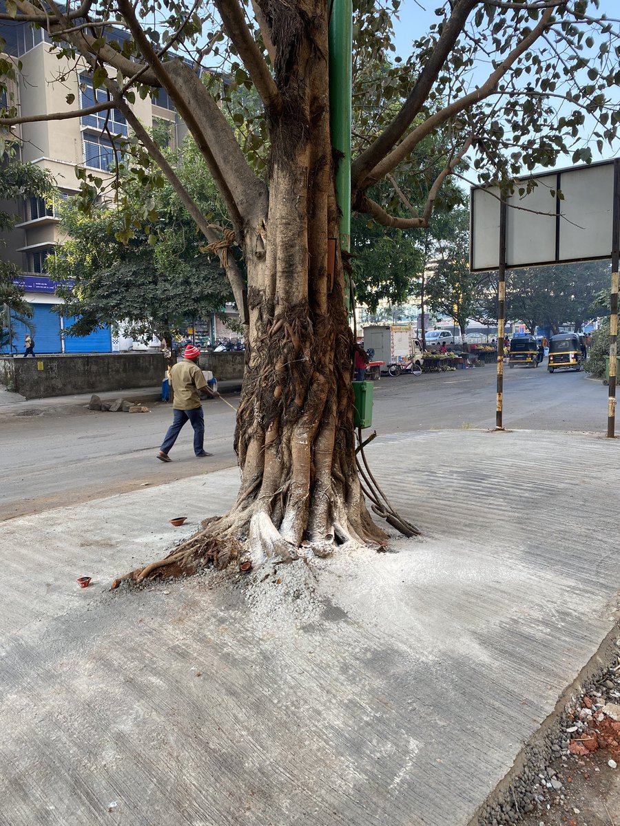 #Concrete choking of #urban #trees even culturally significant ones, in #cities in #India is a common sight. There used to be grass around this before this crime took place. <a href="/mythanecity/">Thane City</a> <a href="/TMCaTweetAway/">Thane Municipal Corporation - ठाणे महानगरपालिका</a>