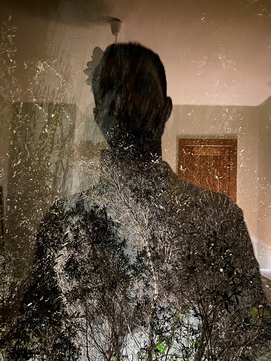 Max Miechowski tweet media