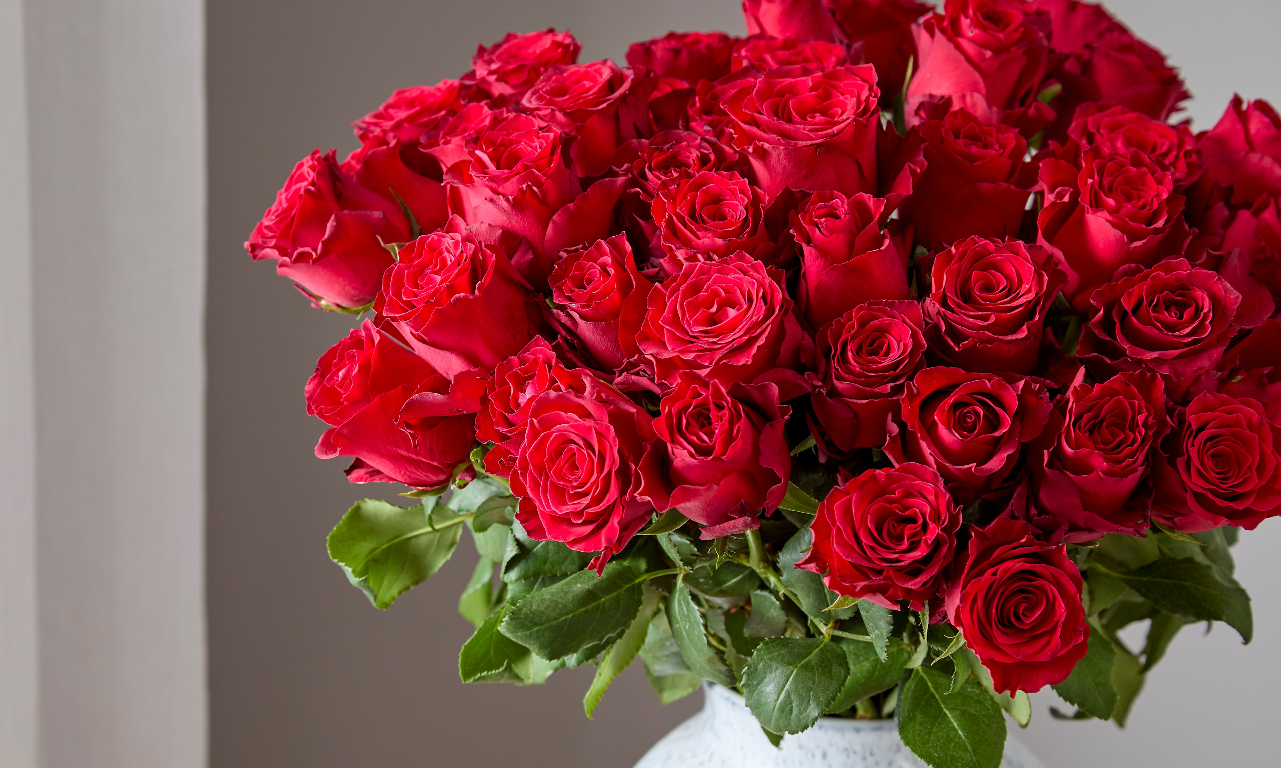 Zing Flowers on Twitter: "Can you go overboard when expressing your  adoration? We don't think so! 😉 Spoil your loved one with this incredible  bouquet of 48 beautiful red roses - an