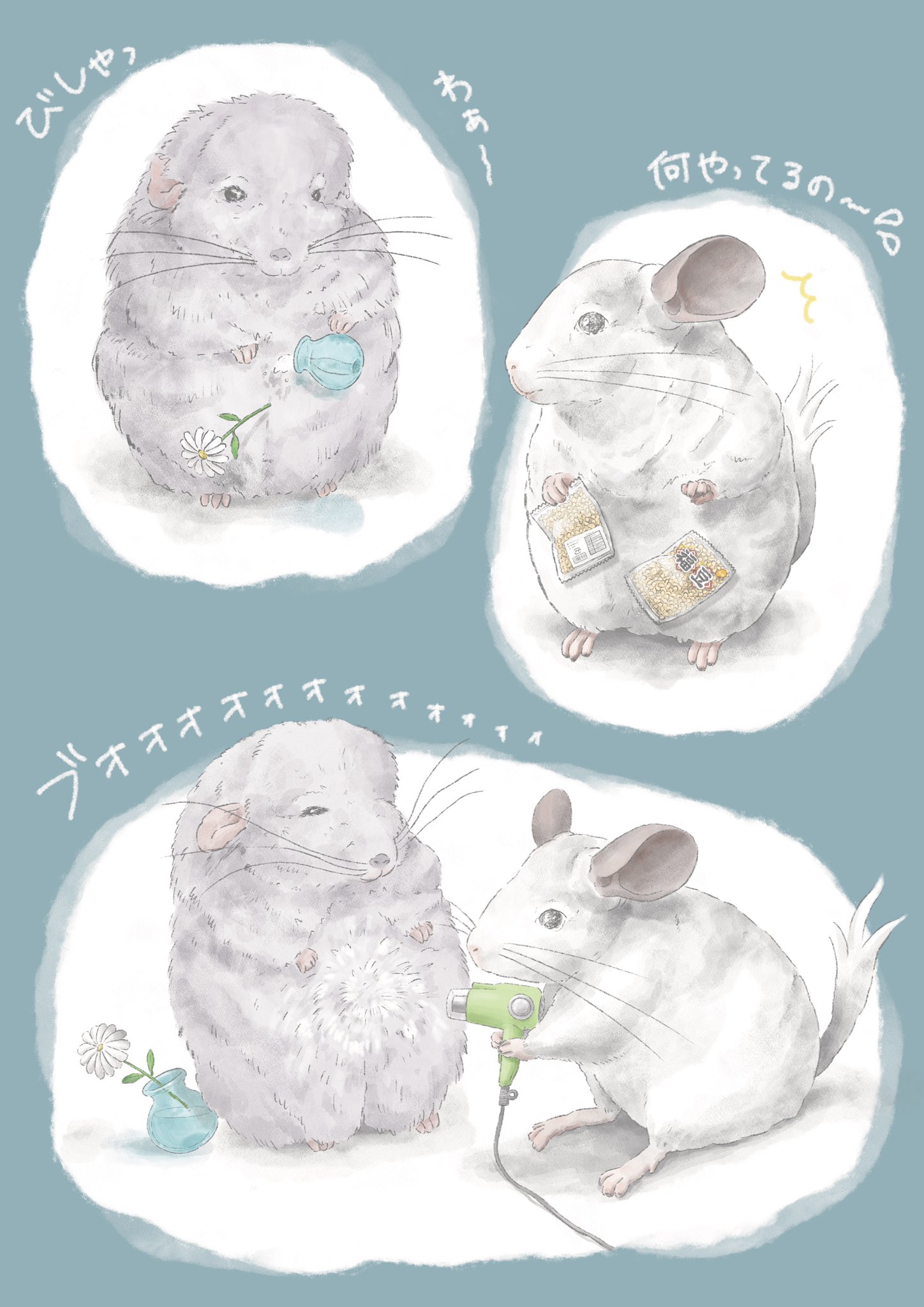 チンチライラスト ぽぃ ぷぃ 水は大敵なチンチラ チンチラ アンゴラチンチラ Chinchilla イラスト T Co Q8535itqyw Twitter
