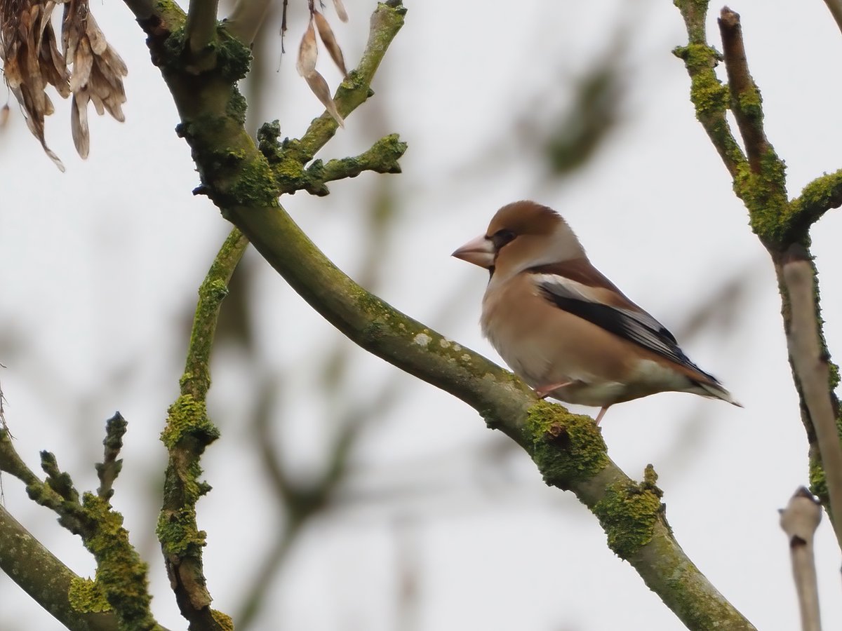 Mark Sutton tweet media