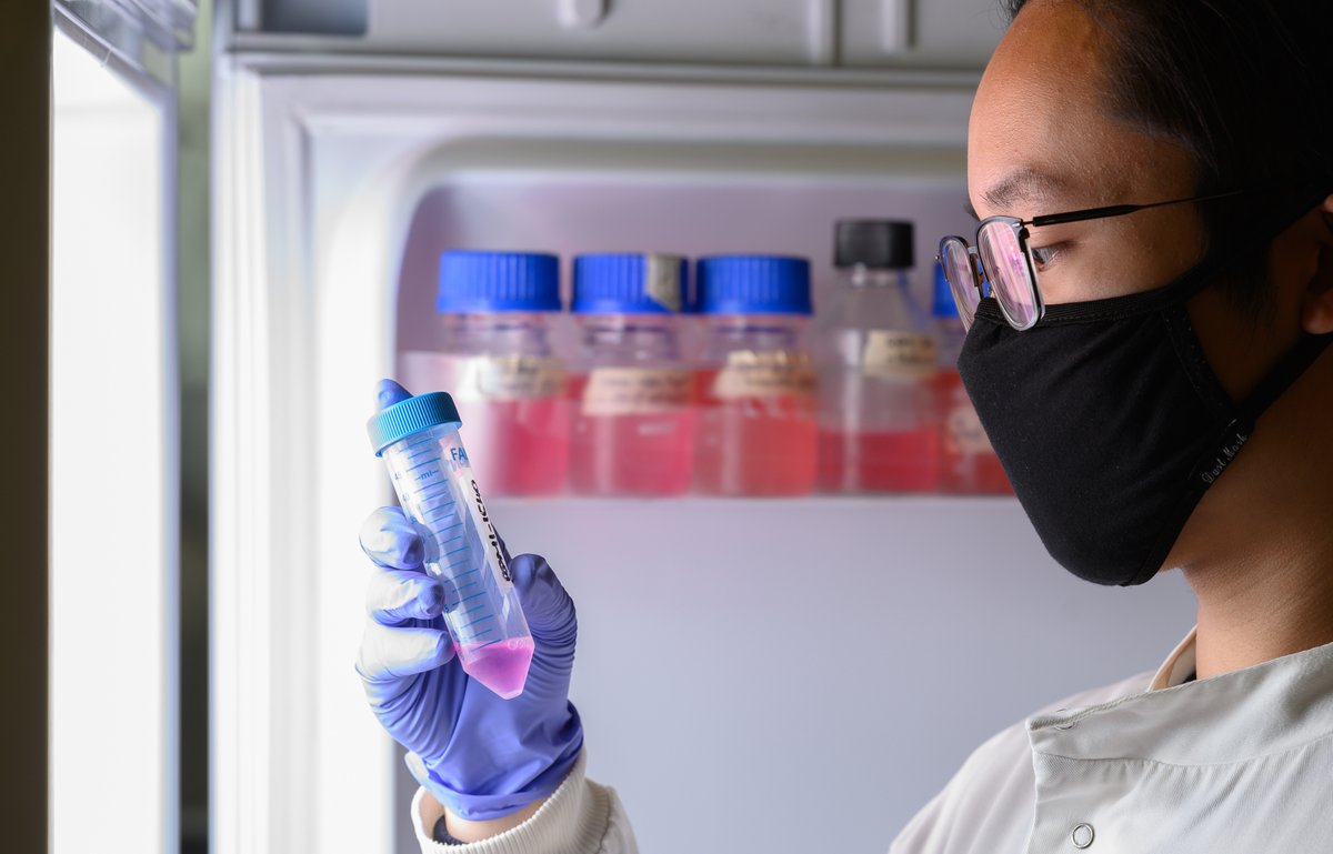 #WorldCancerDay| At <a href="/unibirmingham/">Uni of Birmingham</a> we have over 110 academic staff collectively driving innovative scientific discoveries to understand cancer and treat it. Find out more about our #CancerResearch: birmingham.ac.uk/research/spotl…