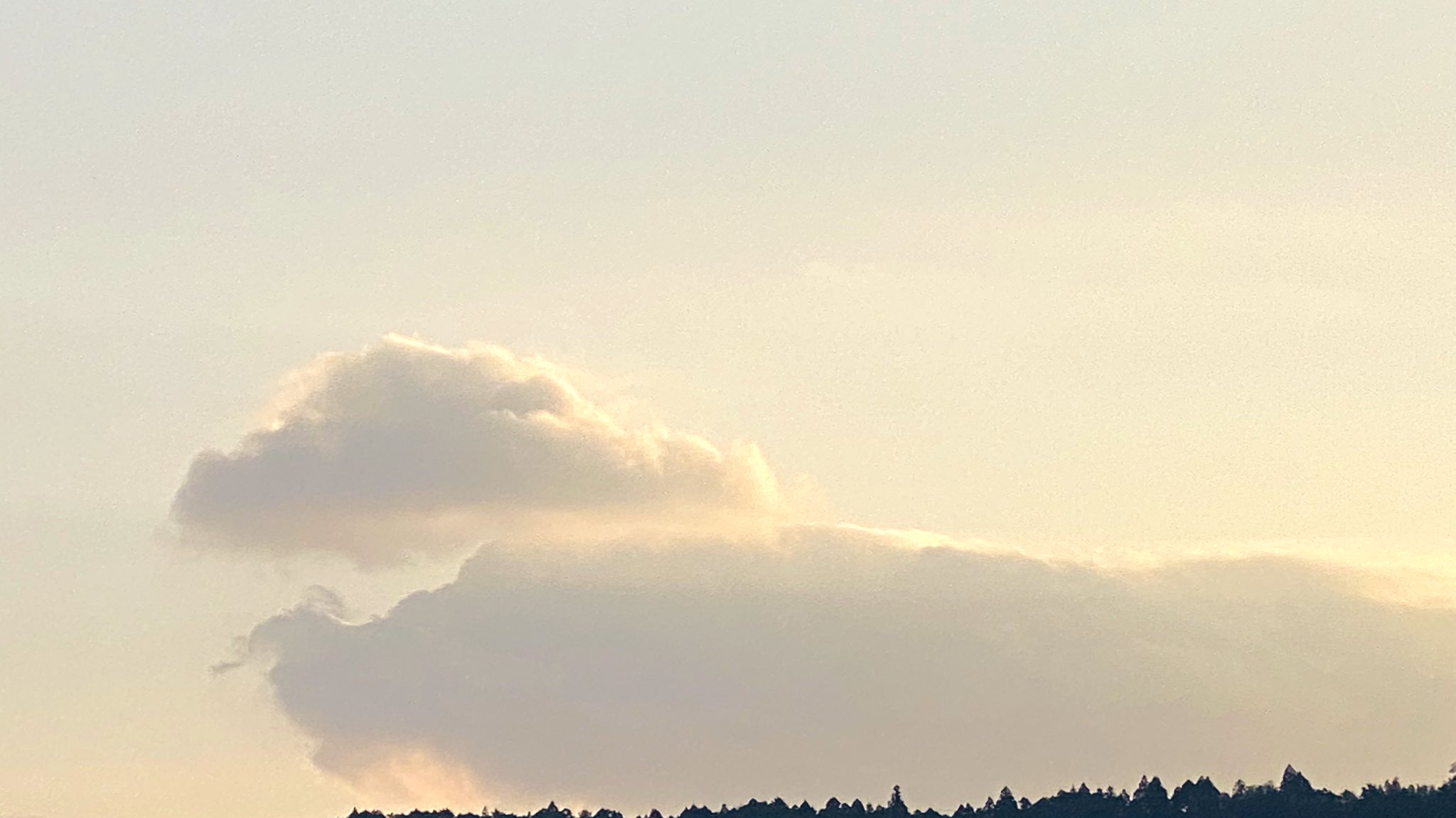 ʚもちねこɞ 久しぶりに雲に出会えた 夕方の雲はもくもくもでした 今日から2月 大好きな荒木先生のカレンダーめくった 天気の図鑑 感天望気 魔法のような空の風景 T Co Dgpjl9b6mz Twitter
