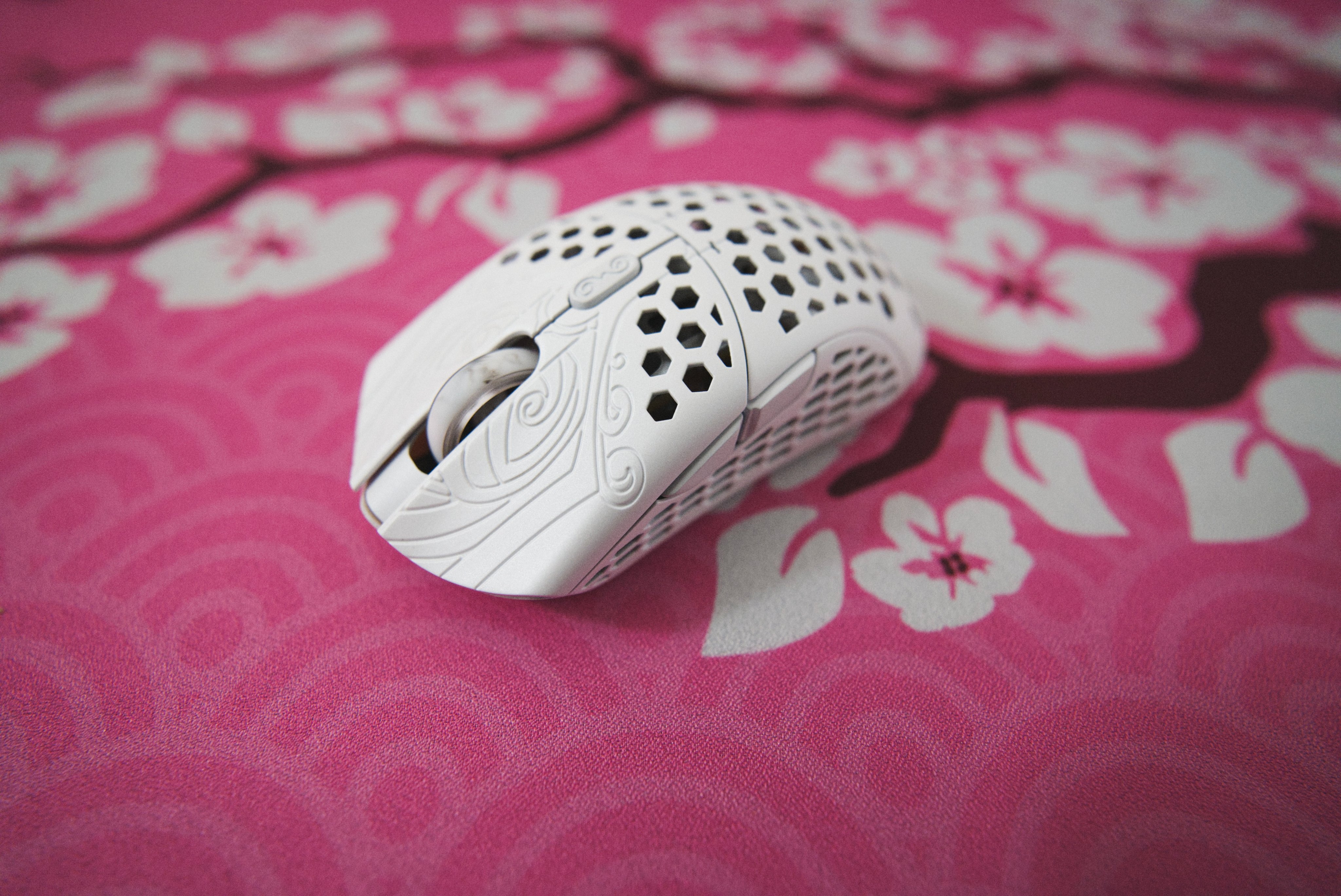 Amazon.com: FinalMouse Starlight-12 Pegasus (Small) : Video