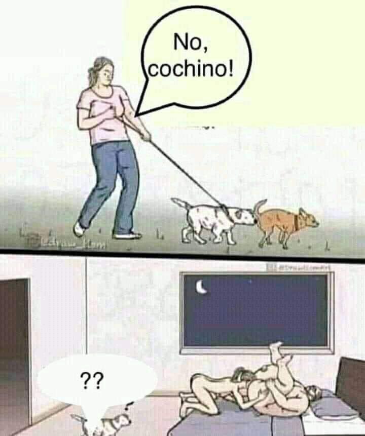 ReisnauerBlack's tweet image. 