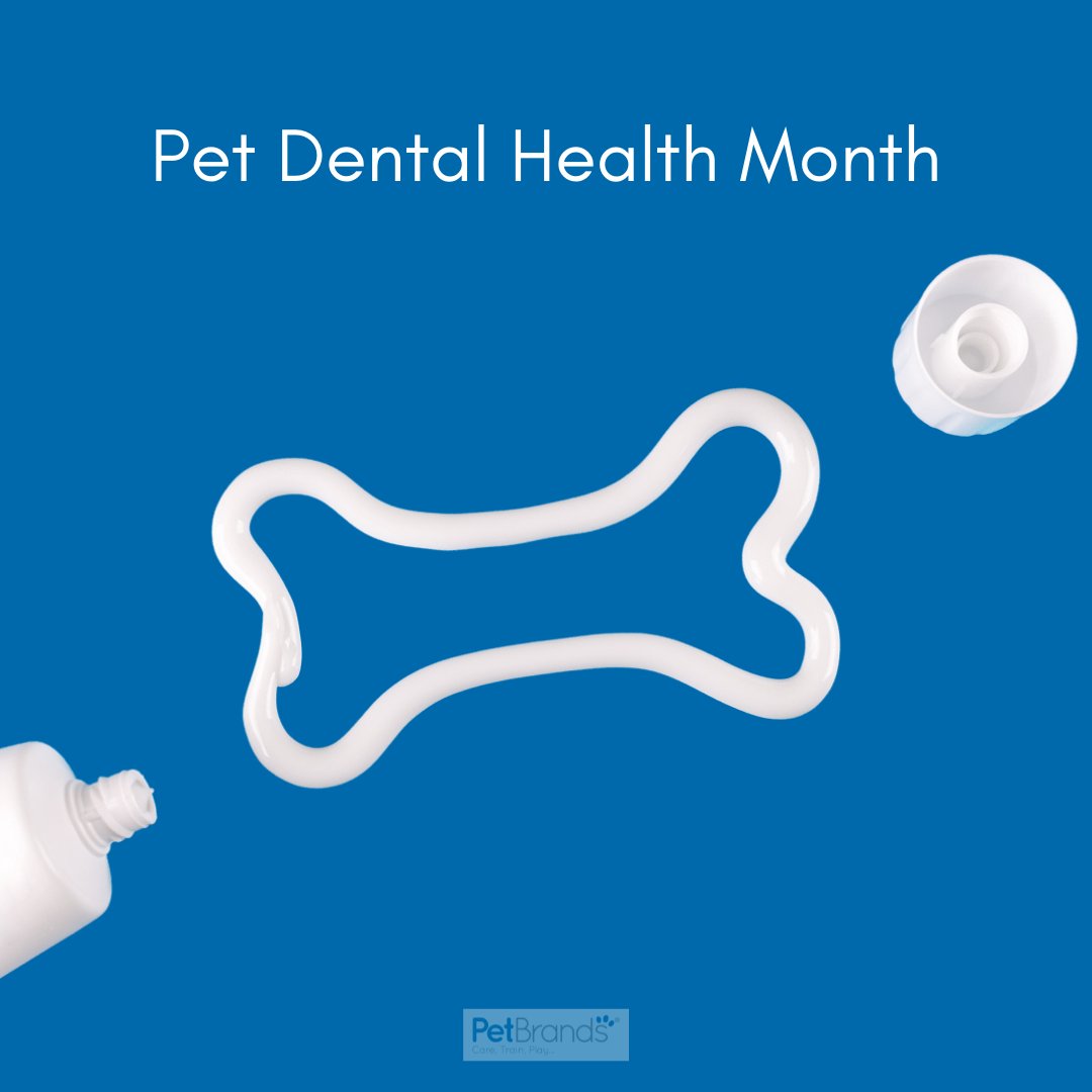 Did you know, February is #PetDentalHealthMonth?
Whether a dog, cat, rabbit or other species, let’s remember to look after their teeth.

Keep an eye out for our dental treat posts!

#PetBrands #Pets #PetDentalTreats