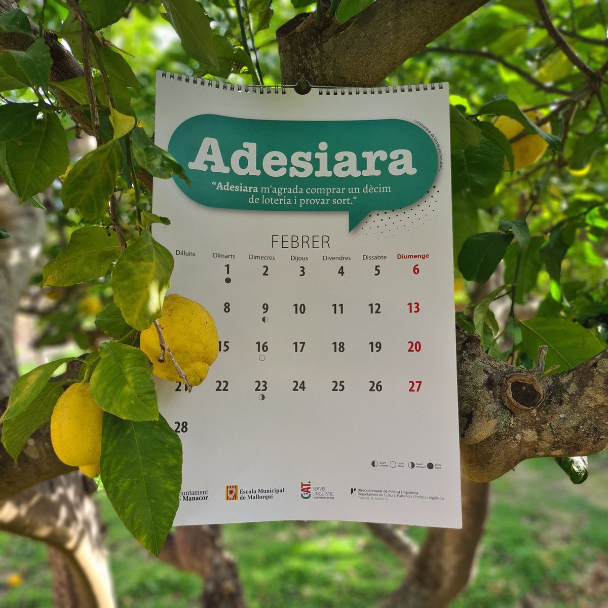 💬 𝙰𝚍𝚎𝚜𝚒𝚊𝚛𝚊

És dia primer de febrer i giram full per veure la paraula del mes, la coneixíeu?

#EscolaMunicipalMallorquí #LlenguaCatalana #Adesiara