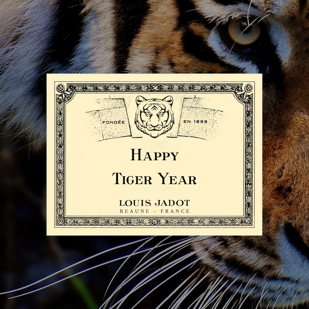 🐯 Happy #tigeryear to all our friends! 🐅 Follow us on WeChat 👀 #Tiger #ChineseNewYear #China