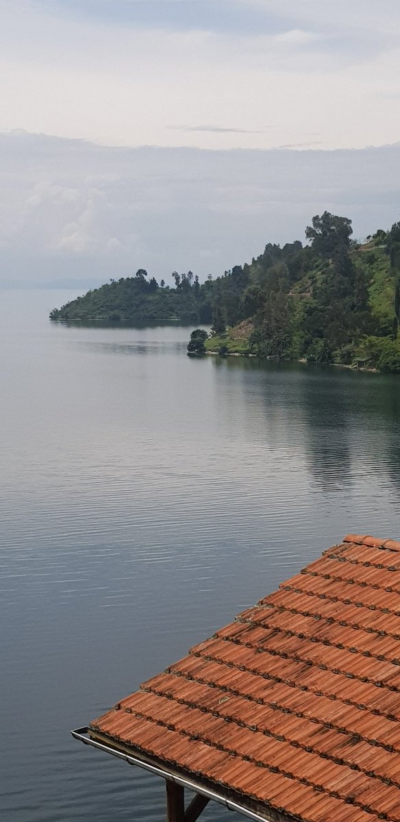 Youssef Travaly tweet media