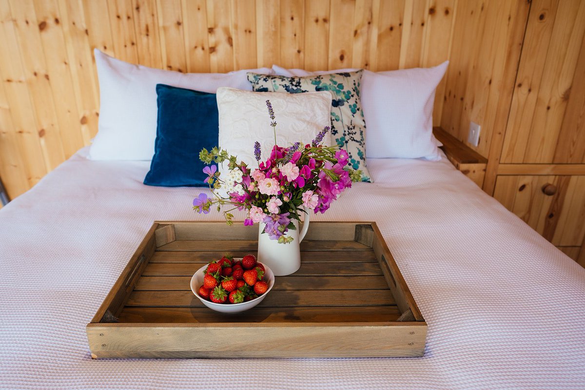 Book a stay this February in the Hideaway and receive 20% off 
#luxuryglamping
#cosywinterstay
#februaryoffer
