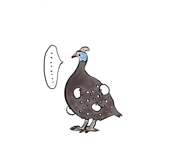 ホロホロ鳥の水玉模様でかくれんぼするぶんちょたち 
