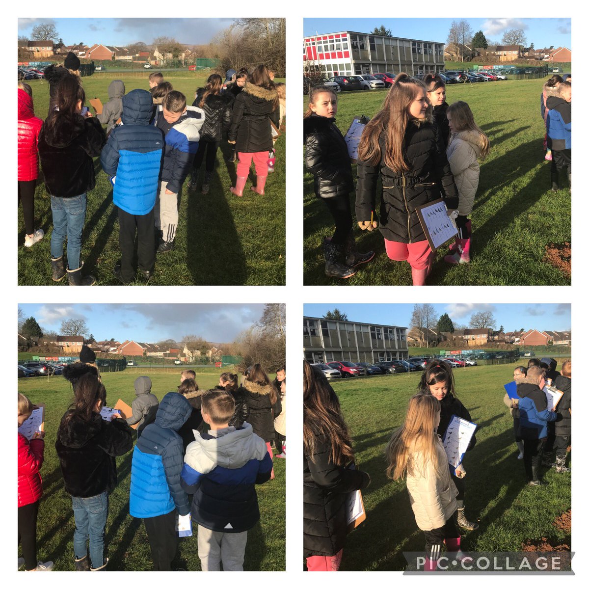 Dosbarth Cedar participating in ‘The Big Schools Bird Watch’ yesterday. Submitting our findings to create a nationwide database.