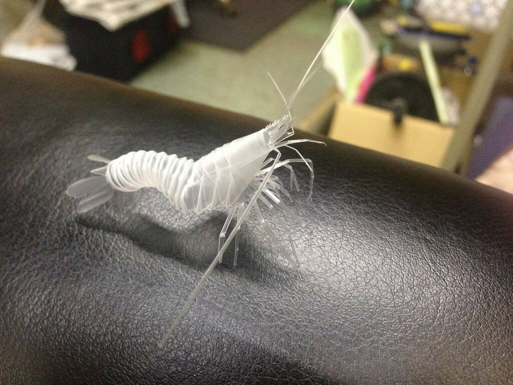 straw_hirata's tweet photo. 過去作
ストローエビ https://t.co/Gh2kQWPPag