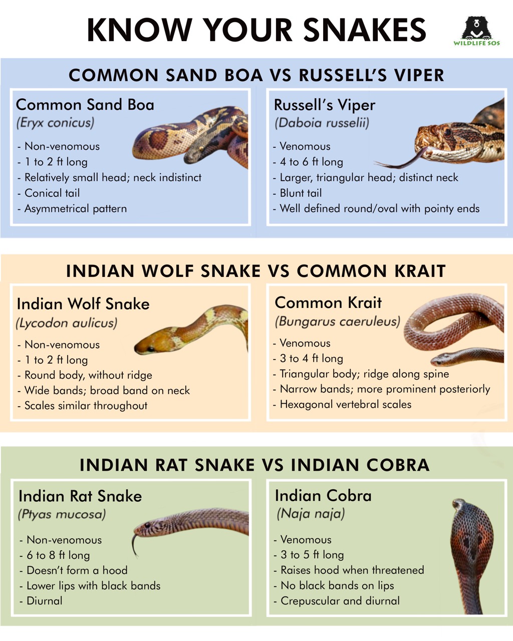 Decoding Snake Venoms - Wildlife SOS