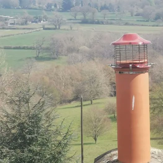 EurocowlLtd's tweet image. #TopguardTuesday
Who can forget this lucky pot?
They say if the bird flies over and it lands on you its lucky, well it was for Milborrow Chimney Sweeps &amp;amp; Croydon Fireplaces. 
Find out more on our #Topguard by following the link
buff.ly/30OZU7o