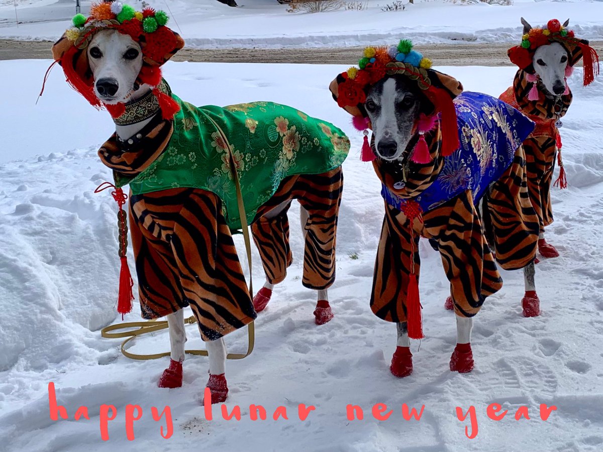 Devo Seamus (@devoseamus) on Twitter photo 