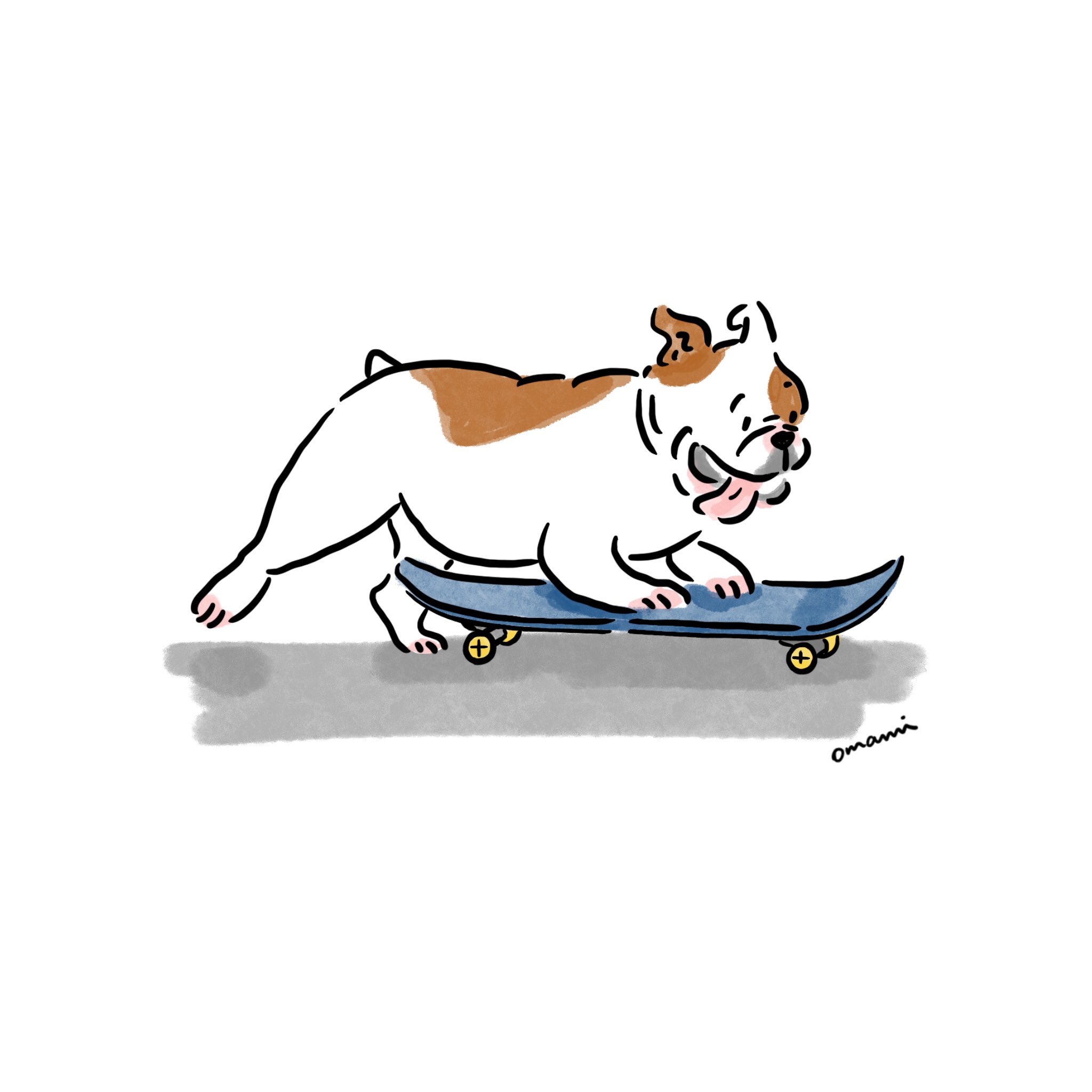 スケボー犬 Twitter Search Twitter