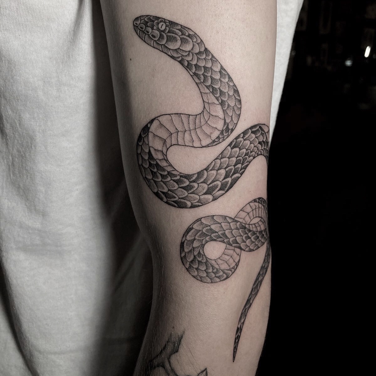 By Paige.
Bookings/Quotes/Consults:
info@trademarktattoos.com
+27 (0)31 303 8713
trademarktattoos.com
Shop 5 Florida Fields, 295 Florida rd, Durban
#trademarktattoo #durbantattoo #tmtdurban