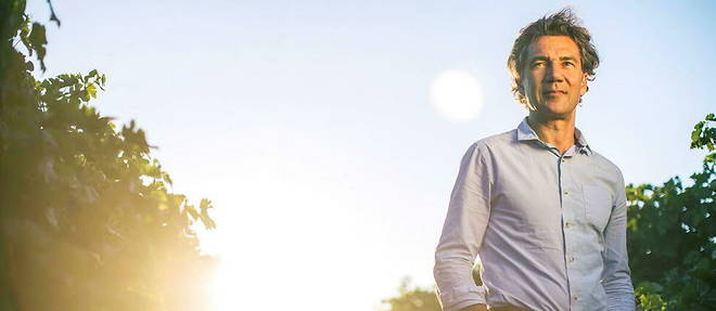 🇫🇷🍷Among the visionaries who participated in the revival of the Languedoc vineyard, Jean-Claude Mas made the bet to combine the quality of wines and hospitality. 👇www-lepoint-fr.translate.goog/vin/domaines-p…
🏰 <a href="/PaulMasUK/">Domaines Paul Mas UK</a>